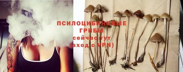 MDMA Premium VHQ Красноперекопск